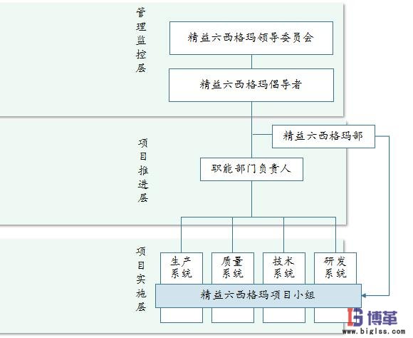 六西格瑪推進(jìn)組織機(jī)構(gòu)建設(shè) 六西格瑪推進(jìn)組織機(jī)構(gòu)建設(shè)